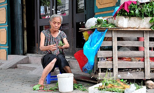 Bà Nguyễn Thị Thì, 73 tuổi, bắt đầu một ngày bằng những bó lá thuốc. Tuy chẳng bao nhiêu nhưng cũng đủ để bà trang trải qua ngày.